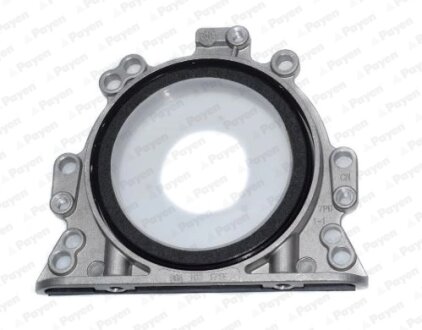 VW сальник к/вала задн (з корпусом.) AUDI, SEAT, SKODA Payen LK5003