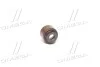 Сальник клапана EX HONDA D13/D15/D16 (вир-во PAYEN) Payen PB356 (фото 1)