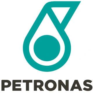 Олива моторна SYNTIUM 5000 DM 5W-30 SN (20L) Petronas 70957R41EU