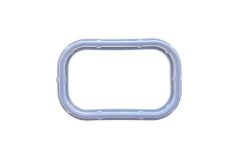 Прокладка коллектора впускного Citroen Jumper/Peugeot Boxer 2.2HDI 06- Peugeot/Citroen 0348T1