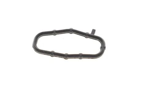 Прокладка насосу масляного Citroen Jumpy/Peugeot Expert 2.0 00-16 Peugeot/Citroen 101932