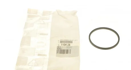 Прокладка фильтра масляного Peugeot 405/605 1.9TD 04-06 Peugeot/Citroen 110424