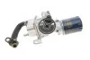 Корпус фильтра масляного Citroen Jumpy/Peugeot Boxer 15- Peugeot/Citroen 9826074680 (фото 6)