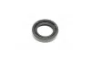 Уплотняющее кольцо клапан. крышки Hyundai Santa FE 22443-27001 (выр-во G корея ОЭ) PH 1411ABHBH0 (фото 1)