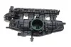 Коллектор впускной VW Golf VI/Passat 1.8/2.0 TSI 09-16 PIERBURG 710131000 (фото 1)
