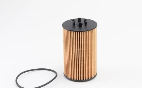 Фильтр масляный MB C-class (W204)/E-class (W211/W212) 6.2 M156 06-15 Purflux L1102