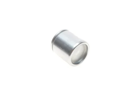 Поршенек суппорта (переднего) Daewoo Lanos 97-/Opel Astra F 91-05 (48x49mm) QUICK BRAKE 185221K