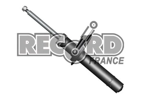 Record Амортизатор OIL передній ЦІНА за 1 шт.УПАК.по 2 шт.(лівий+правий) RECORD 103942