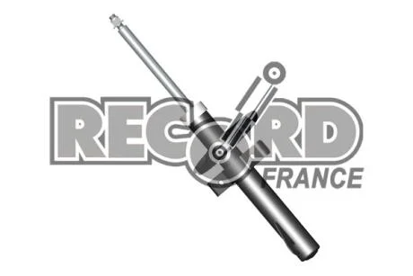 Record Амортизатор GAS передній ЦІНА за 1 шт.УПАК.по 2 шт.(лівий+правий) RECORD 334588
