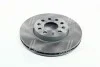 Диск гальмівний SEAT TOLEDO, SKODA YETI, VW GOLF VI передн. вент. (вир-во Remsa) REMSA 6648.10
