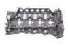 Головка блока цилиндров Renault Master 2.3dCi 10-/Trafic 2.0dCi 06- RENAULT 110417248R (фото 3)