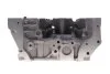 Головка блока цилиндров Renault Master 2.3dCi 10-/Trafic 2.0dCi 06- RENAULT 110417248R (фото 5)