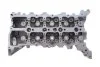 Головка блока цилиндров Renault Master 2.3dCi 10-/Trafic 2.0dCi 06- RENAULT 110417248R (фото 9)