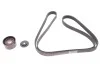 Комплект ремня генератора Opel Vivaro/Renault Trafic II 1.9dCi/2.0 16V 01- (+AC) (6PK1792) RENAULT 117200713R (фото 1)