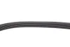 Комплект ременя генератора Renault Kangoo 1.4i/1.6i 97- (5PK1113) RENAULT 117201773R (фото 6)