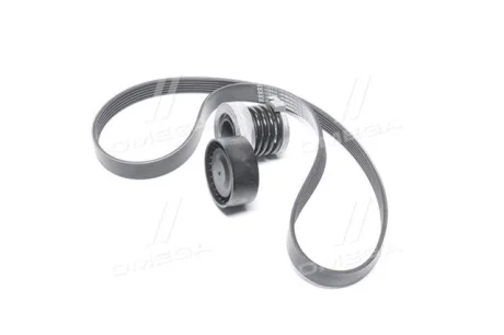 Комплект ременя генератора Renault RENAULT 117202339R
