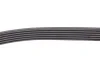 Комплект ременя генератора Renault Duster 1.5dCi 10- (6PK1178) RENAULT 11 72 025 06R (фото 6)