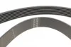 Комплект ремня генератора Renault Arkana 1.6 20- (7PK1038) RENAULT 117205678R (фото 3)