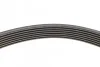 Комплект ремня генератора Renault Arkana 1.6 20- (7PK1038) RENAULT 117205678R (фото 4)