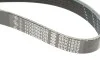 Комплект ремня генератора Dacia Duster/Renault Laguna II 1.4/1.6 16V 04- (6PK1822) RENAULT 117206746R (фото 4)