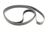 Комплект ремня генератора Dacia Duster/Renault Laguna II 1.4/1.6 16V 04- (6PK1822) RENAULT 117206746R (фото 5)