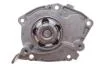 Комплект ГРМ + помпа Nissan Primera 1.9dCi 02-/Renault Scenic/Megane 1.9dCi 03-(26x133z) RENAULT 119A01812R (фото 8)