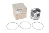 Поршень Renault Master/Opel Movano 2.3dCI/CDTI 14- (85.00mm/STD) RENAULT 12 0A 126 95R (фото 1)