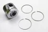 Поршень Master/Movano III 2.3dCi 10- (85.00mm/STD) RENAULT 120A17400R (фото 1)