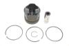 Поршень Megane II/III 1.5dCi 03-/Kangoo 1.5dCi 08- (STD) RENAULT 120A17699R (фото 1)