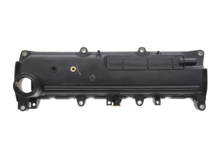 Крышка клапанов Renault Captur/Clio/Dokker/Duster/Kangoo/Logan/Megane/Scenic 98- RENAULT 132654861R