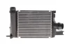 Интеркулер Duster Renault RENAULT 144967634R (фото 1)