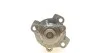 Помпа воды Opel Movano/Renault Master III 2.3CDTI/2.3dCi 10- (RWD) RENAULT 210105857R (фото 4)