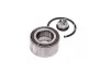 Подшипник ступицы (передней) Renault Megane III/IV 08-/Duster 11- (42x80x39) (+ABS) (к-кт) RENAULT 402108022R (фото 4)