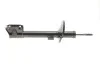 Амортизатор (задний) Renault Duster 1.5dCi 17- RENAULT 562103964R (фото 4)