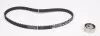 Ремкомплект ГРМ 1,2/1,4/1,6 (95 зубов) Renault Clio II, Kangoo I, Megane I Renault RENAULT 7701472726 (фото 2)