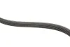Комплект ременя генератора Renault Kangoo 1.4i/1.6i 97- (5PK1100) RENAULT 7701477522 (фото 4)