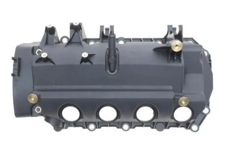 Крышка клапанов Renault Kangoo/Logan 1.2 01- RENAULT 8200331491
