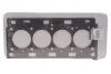 Прокладка головки блоку циліндрів (Вир-во) RENAULT 8200406743 (фото 1)