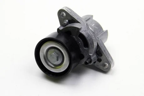 Натяжник ременя генератора Renault Kangoo 1.4/1.6i 97- (+AC) RENAULT 8200603359