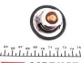 Термостат Opel Vivaro 2.0/Renault Kangoo 1.6 01- RENAULT 82 00 772 985 (фото 4)