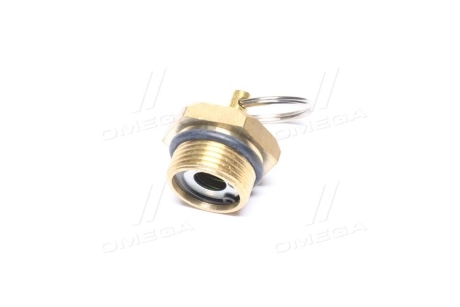 Клапан слива конденсата M22х1,5 Эталон, ТАТА (с ущел. кольцом)) RIDER RD-11.3513110