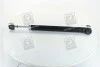 Амортизатор підв. VW Passat 99-05, Audi A6 задн.газ RIDER RD.2870.343.281 (фото 3)