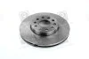 Диск тормозной SKODA OCTAVIA A5/VW CADDY III/GOLF 04-передний. RIDER RD.3325.DF4295 (фото 2)