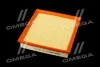 Фильтр воздушный ExtraClean FORD RIDER REC130190 (фото 2)
