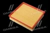 Фильтр воздушный ExtraClean OPEL RIDER REC130247 (фото 3)