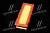 Фильтр воздушный ExtraClean RENAULT RIDER REC130266 (фото 4)