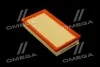 Фільтр повітряний ExtraClean FORD RIDER REC130298 (фото 1)