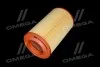 Фільтр повітряний ExtraClean PSA RIDER REC200435 (фото 2)