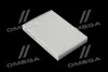 Фільтр салону ExtraClean DACIA RIDER REC610273 (фото 1)