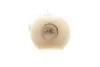 Автолампа 24V 1.4W B29 White (в щиток приборов) Ring R508TVWH (фото 2)